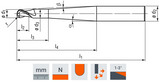 1.0mm 2 Flute Solid Carbide Ball Nose Top Cut End Mill Extra Long Series (3822A) - Emuge Franken - Precision Engineering Tools EW Equipment Emuge,